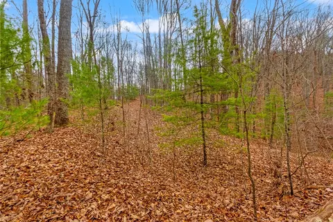 3 45 Ac Guy Eller Rd, Murphy, NC 28906 photo 9