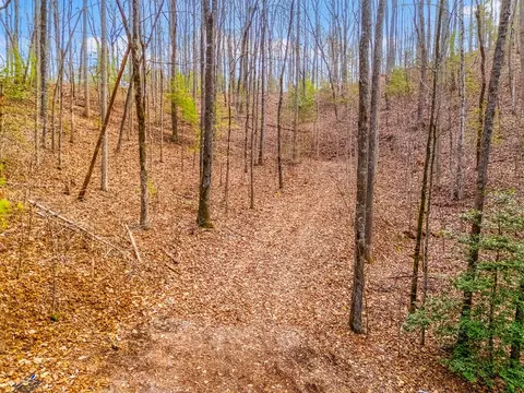 3 45 Ac Guy Eller Rd, Murphy, NC 28906 photo 3