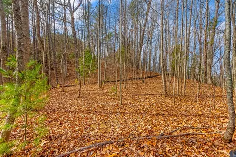 3 45 Ac Guy Eller Rd, Murphy, NC 28906 photo 12