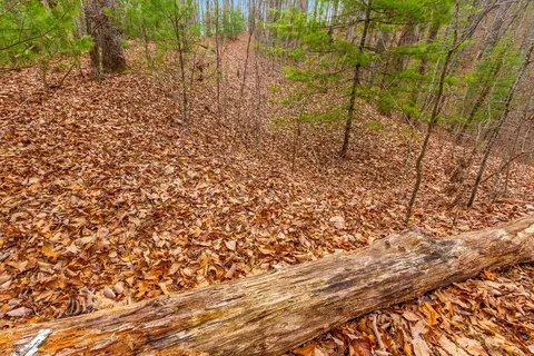 3 45 Ac Guy Eller Rd, Murphy, NC 28906 photo 8