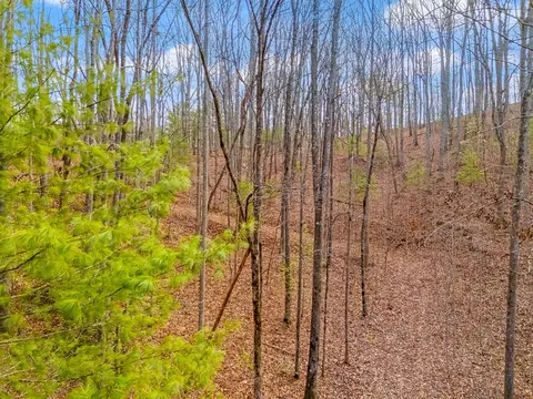 3 45 Ac Guy Eller Rd, Murphy, NC 28906 photo 16