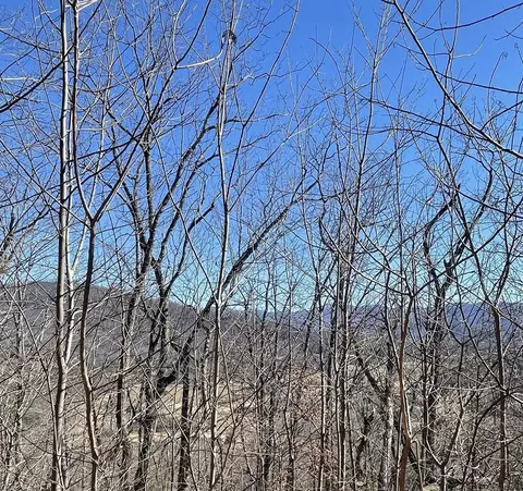 60 61j Mountain Harbour, Hayesville, NC 28904