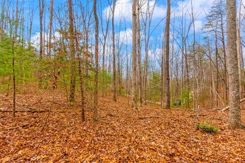 1 03 Ac Guy Eller Rd, Murphy, NC 28906 photo 11