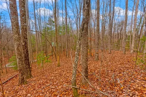 1 03 Ac Guy Eller Rd, Murphy, NC 28906 photo 15