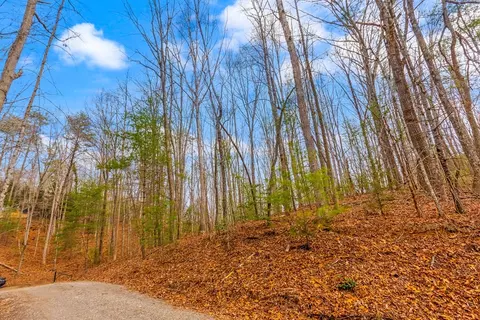 1 03 Ac Guy Eller Rd, Murphy, NC 28906 photo 16