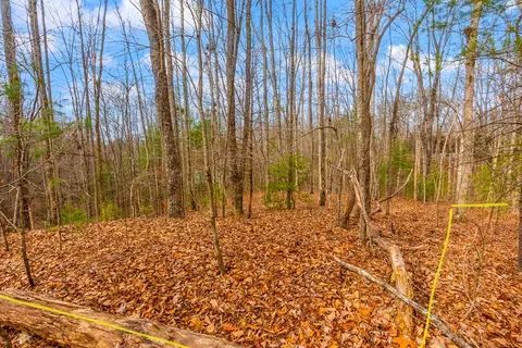 1 03 Ac Guy Eller Rd, Murphy, NC 28906 photo 14