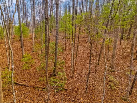 1 03 Ac Guy Eller Rd, Murphy, NC 28906 photo 21