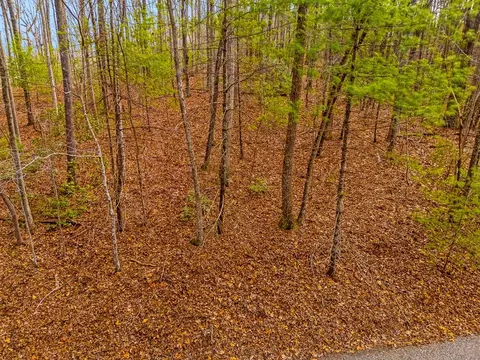 1 03 Ac Guy Eller Rd, Murphy, NC 28906 photo 18