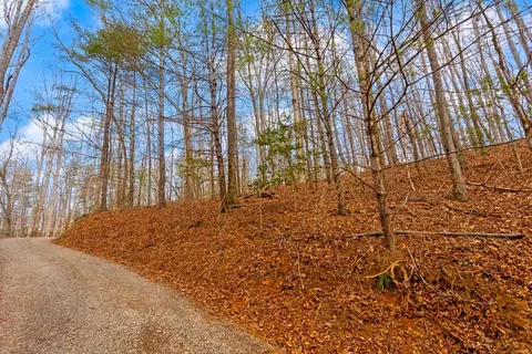 1 03 Ac Guy Eller Rd, Murphy, NC 28906 photo 22