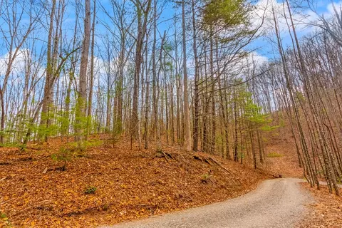 1 03 Ac Guy Eller Rd, Murphy, NC 28906 photo 20