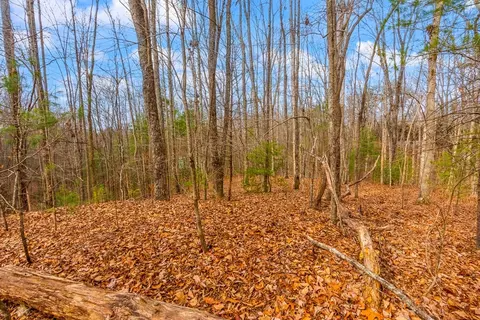 1 03 Ac Guy Eller Rd, Murphy, NC 28906 photo 13