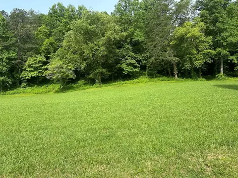 Undisclosed, Warne, NC 28909 photo 3