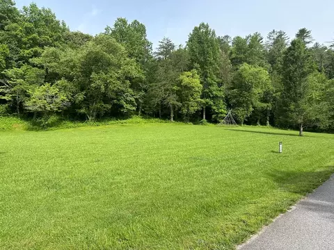 Undisclosed, Warne, NC 28909 photo 6