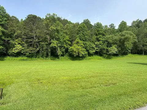 Undisclosed, Warne, NC 28909 photo 6