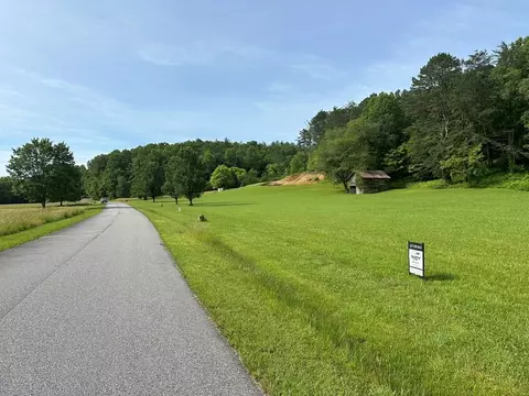Undisclosed, Warne, NC 28909 photo 4