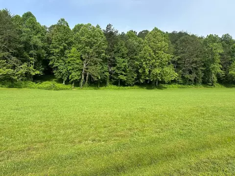 Undisclosed, Warne, NC 28909 photo 3