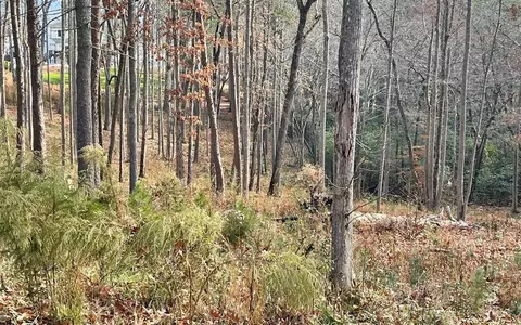 lot166 Highland, Blairsville, GA 30512