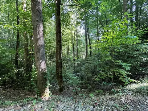 00 Briggs Cove Rd, Robbinsville, NC 28771