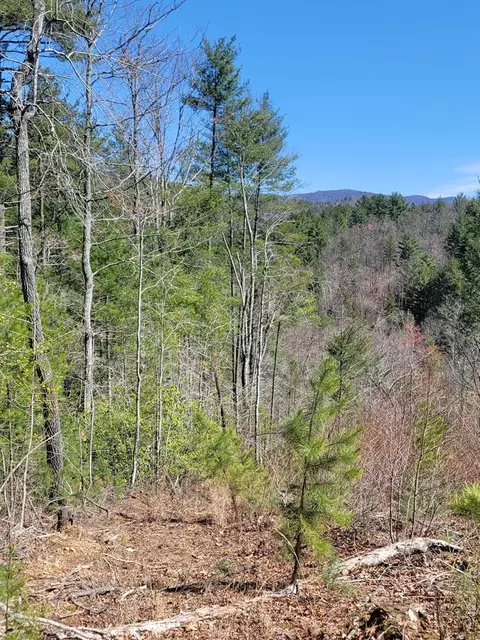 1 Prospect Rd, Murphy, NC 28906 photo 12