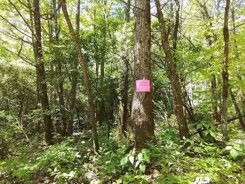 1 Prospect Rd, Murphy, NC 28906 photo 8