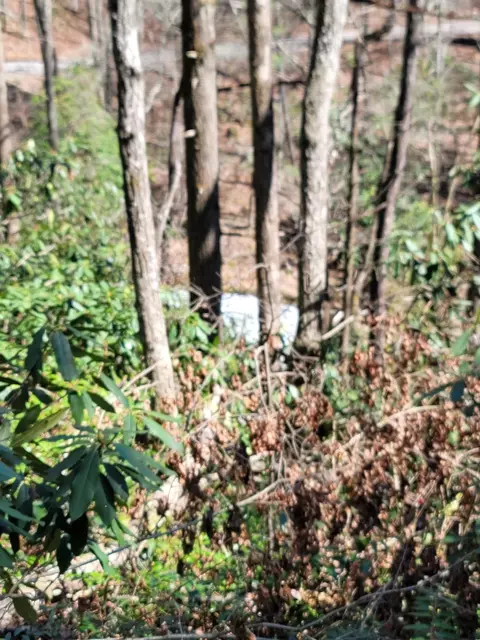1 Prospect Rd, Murphy, NC 28906 photo 6