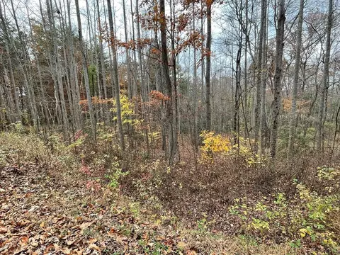 lot20 Hamilton Rd, Blairsville, GA 30512