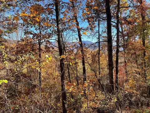 36 54c Ash Branch Cir, Hayesville, NC 28904