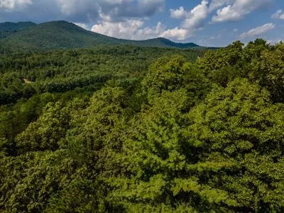 Other - 151 Pinewood Dr, Murphy, NC 28906 photo 11 of 13