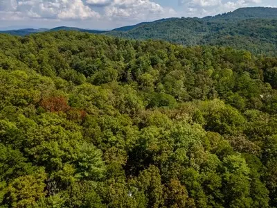 Other - 151 Pinewood Dr, Murphy, NC 28906 photo 8 of 13