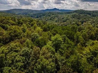 Other - 151 Pinewood Dr, Murphy, NC 28906 photo 9 of 13