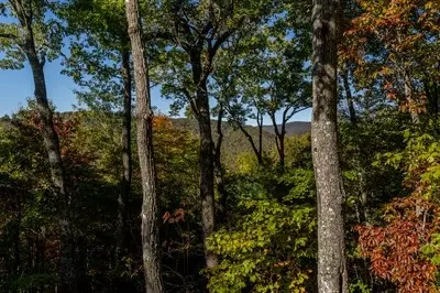 Undisclosed, Cherry Log, GA 30522 photo 56