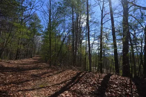 51-53 Hickory Ln, Robbinsville, NC 28771