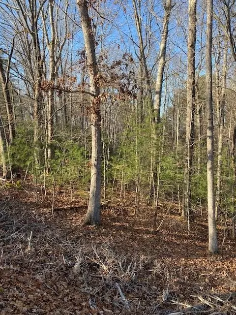 0 Proghorn Ln, Murphy, NC 28906 photo 14