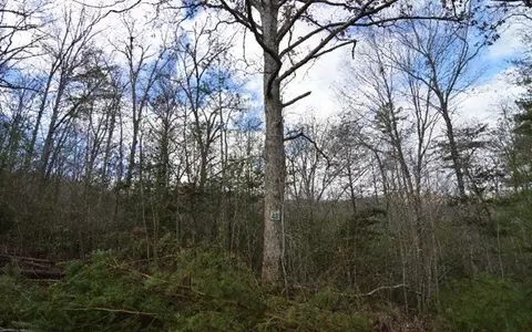 lot48 Laurel, Blairsville, GA 30512