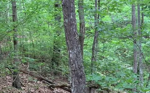 lot18 Bruce, Blairsville, GA 30512