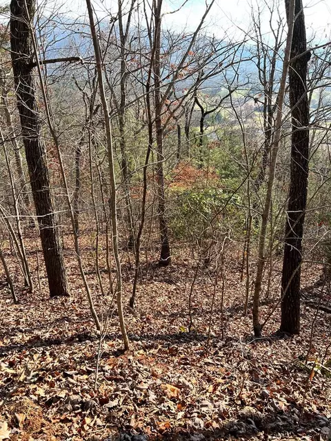 lot56 C Indian Trl, Hayesville, NC 28904