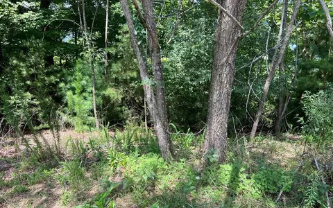 lot59 Fires Creek Cv, Hayesville, NC 28904