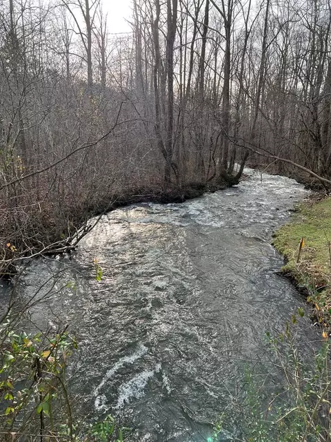 lot S 9 10 11 15 17 Mary Ln, Hayesville, NC 28904