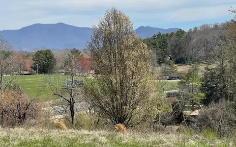 lot8 Cabin Dr, Hayesville, NC 28904