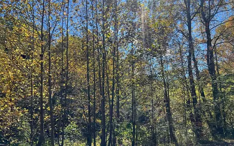 4 Ac Tusquittee Rd, Hayesville, NC 28904