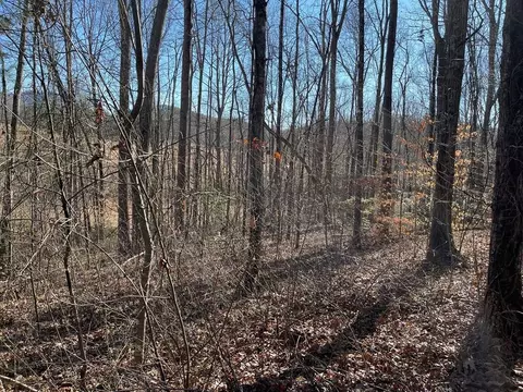 lot Apt 12e The Woodlands, Hayesville, NC 28904
