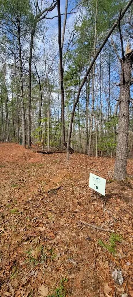 00 Headwaters Dr, Murphy, NC 28906 photo 5