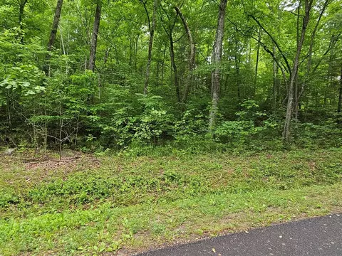 17 Lonesome Pne, Murphy, NC 28906 photo 2
