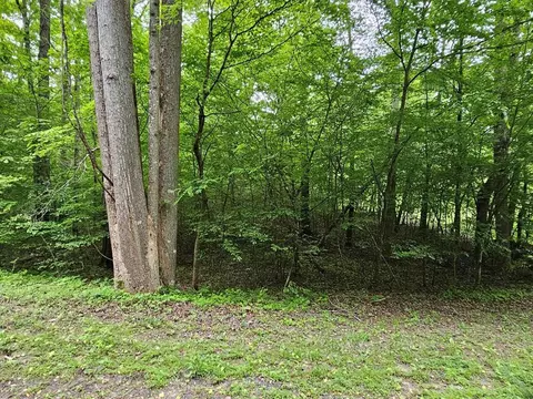 17 Lonesome Pne, Murphy, NC 28906