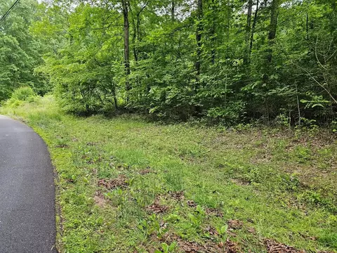 17 Lonesome Pne, Murphy, NC 28906 photo 4