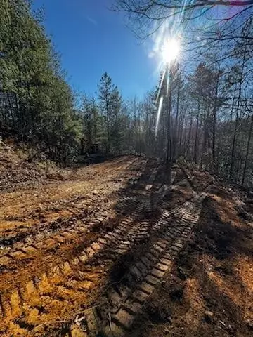 lot16 Paradise, Marble, NC 28905
