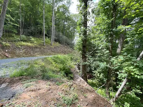42 Reflection Dr, Nantahala, NC 28781 photo 18