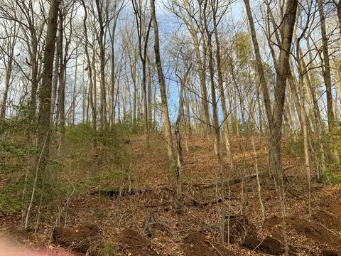lot7 Ivy Log Rd, Murphy, NC 28906 photo 2