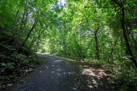 0 E Buffalo, Robbinsville, NC 28771