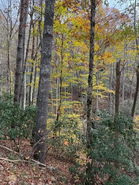 00 Heritage Trl, Murphy, NC 28906 photo 5